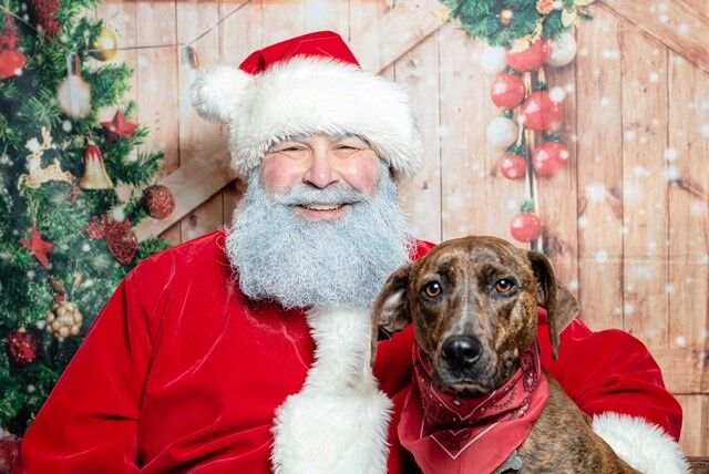 Santa and Brody.